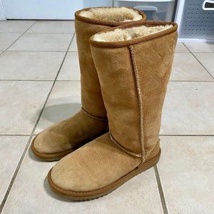 Ugg Australia Shearling Suede Leather Boots